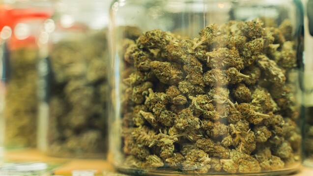 Cannabis zu medizinischen Zwecken sollte nicht in Vergessenheit geraten, wenn die Legalisierung zu Genusszwecken vorbereitet wird. (Foto: PoppyPix / AdobeStock)