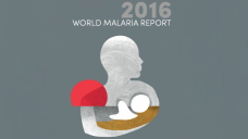 Die WHO berichtet in ihrem Report über Malaria-Erkrankungen weltweit. (Bild: DAZ.online)