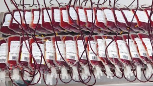 Wie sicher sind Bluttransfusionen?