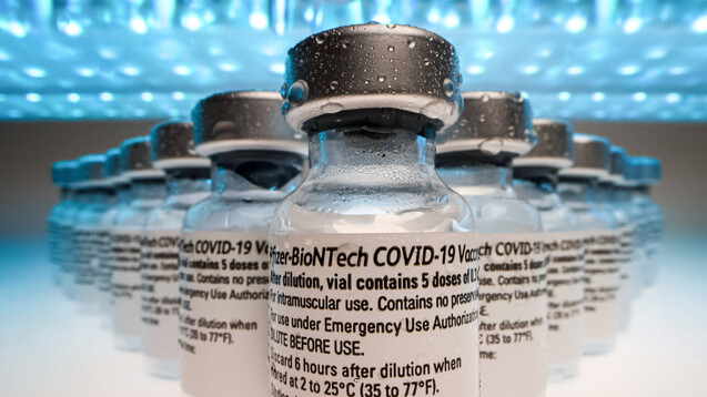 Comirnaty-Impfstoffampullen von Biontech/Pfizer (Variante 4b). (Foto: IMAGO / Beautiful Sports)