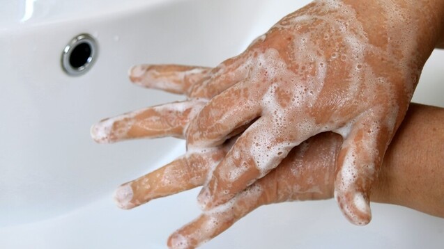 Das häufige Händewaschen während der Coronavirus-Pandemie wird nach Einschätzung von Hautärzten dazu führen, dass mehr Menschen juckende Handekzeme entwickeln. (x / Foto: RRF / stock.adobe.com)