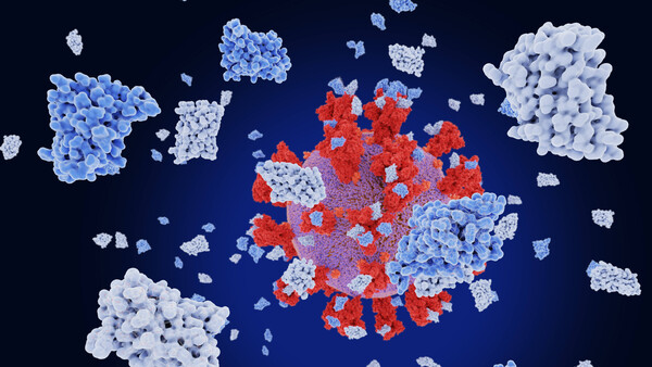 Nanobodies – sind die „Lama-Antikörper“ auch bei COVID-19 eine Option?