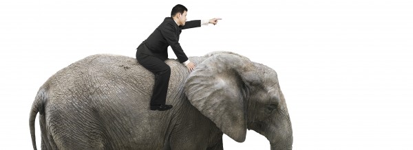 „How to move an elephant“