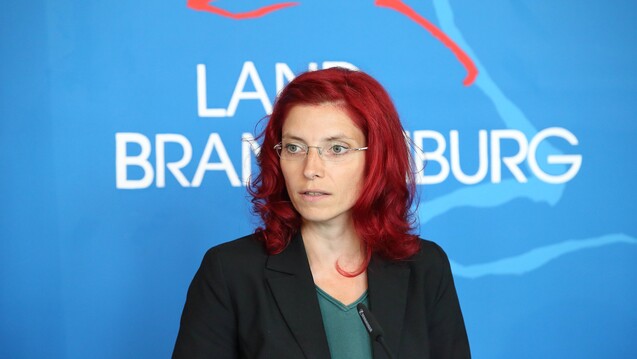Keine gute Woche für die brandenburgische Gesundheitsministerin Diana Golze: In ihrem Zuständigkeitsbereich soll ein Arzneimittelhändler Hehlerei mit Krebsmedikamenten betrieben haben. (b / Foto: Imago)