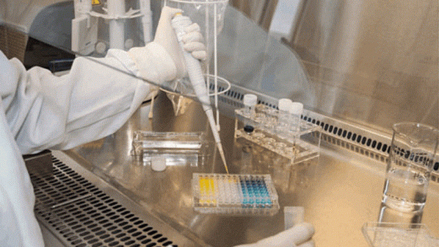 Die 3R-Tetanustoxin-Testung im Labor. (Foto: PEI)