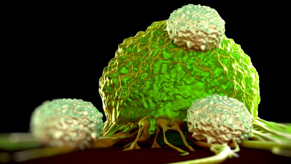 US-Firma stoppt Entwicklung von Krebs-Immuntherapie