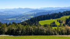 Im österreichischen Bundesland Vorarlberg startet in den kommenden Wochen das Projekt e-Medikation. (Foto: dpa)