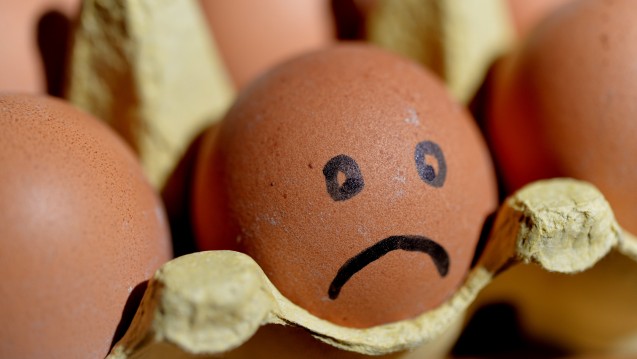 Wie schädlich sind Fipronil-haltige Eier? Das BfR hat eine erste Einschätzung abgegeben. (Foto: picture alliance)