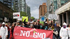 Jährlich findet der „March against Monsanto“ statt, hier 2013 in Vancouver. (Foto: Rosalee Yagihara / Wikipedia.org, CC BY 2.0)
