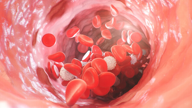 Neben dem besonderen Verhalten des Immunsystems wurde in den vergangenen Monaten auch immer wieder über rätselhafte Blutgerinnsel im Zusammenhang mit schweren Verläufen einer COVID-19-Erkrankung berichtet.&nbsp;(s / Bild: rost9 / stock.adobe.com)