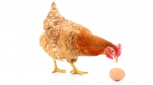 Vergütete Dienstleistungen in der Apotheke – ein Henne-Ei–Problem