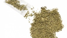Cannabis als Medizin: derzeit viel diskutiertes Thema bei Apotheken, Kassen und Patienten. (Foto: eyegelb – Fotolia.com)