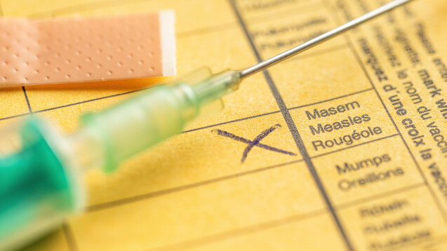 Die Masernimpfung wird zur Pflicht. (m / Foto: Zerbor / stock.adobe.com)
