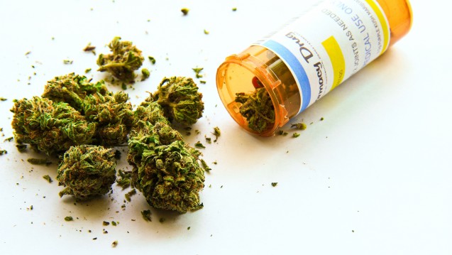 Cannabis zu medizinischen Zwecken: Deutschland als Vorbild für andere Länder? (Foto: Adam / stock.adobe.com)