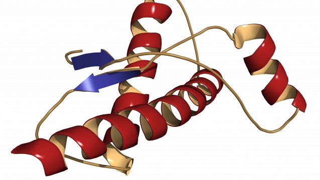 Das Humane Prion-Protein. (Foto: molekuul.be / Fotolia)