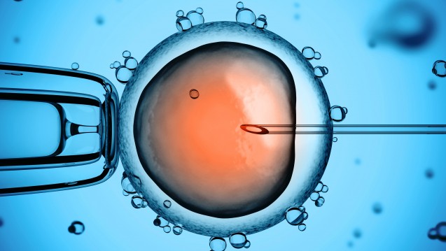 Wann und unter welchen Bedingungen dürfen Embryos gespendet werden? (Bild: koya979 / Fotolia)