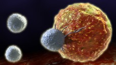 Die modifizierten T-Zellen sollen insbesondere bei nicht-soliden Tumoren erfolgsversprechend sein. (Foto: Andrea Danti / Fotolia)