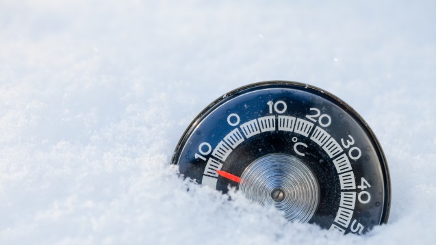 Bei niedrigen Temperaturen können geeignete Präventionsmaßnahmen vor Schäden durch Kälte schützen. (Foto: Dmitry Naumov

                                    / stock.adobe.com)