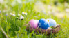 Für viele ist es an Ostern Tradition, dass (vorwiegend) Kinder bunte Osterei suchen. Diese werden dann meist auch gegessen. Doch wie viele Eier sind gesund? (Foto: Floydine / stock.adobe.com)