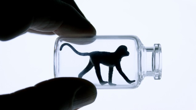 Tübinger Institut verzichtet künftig auf Primatenversuche. (Foto: fotofreaks/Fotolia)