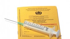 Grippeimpfung: rabattierte Vakzine enhalten nur einen Influenza-B-Stamm. (Bild: Sonja Haja- Fotolia.com)