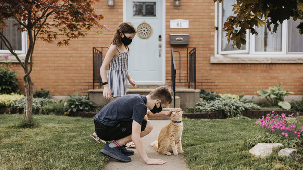 COVID-19: Menschen können Hunde und Katzen anstecken