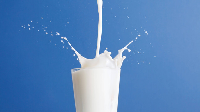 Für die große Mehrheit der erwachsenen Weltbevölkerung ist Milchzucker unverträglich. In Mittel- und Nordeuropa sind rund 15 Prozent der Menschen lactoseintolerant. (m / Foto: imago images / YAY images)