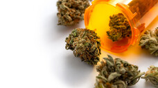 Wie läuft die Versorgung mit Medizinal-Cannabis? (Foto: Victor Moussa / StockAdobe)&nbsp;