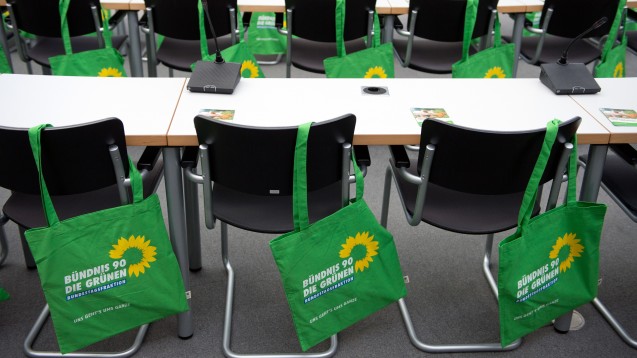 Grüne Stimmen: Die Bundestagsfraktion der Grünen will sich dafür aussprechen, dass Ärzte in besonderen Fällen Internet-Rezepte ausstellen dürfen. (Foto: dpa)