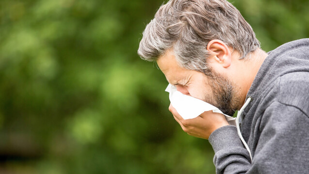 Die Heuschnupfensaison hat für viele Allergiker schon begonnen. (m / Foto: Robert Kneschke / stock.adobe.com)