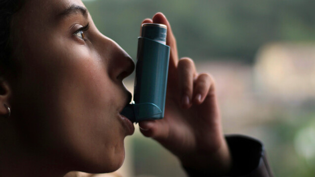 Seit dem 22. Juni 2021 steht eine „Patientenleitlinie zur Nationalen Versorgungs-Leitlinie Asthma“ zur Verfügung.&nbsp;(x / Foto: bydvvid / AdobeStock)