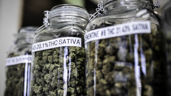 VCA plädiert für OTC-Cannabis in der Apotheke 