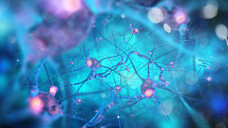 Alzheimer-Neuronen sollen Krebszellen sehr ähnlich sein. Gibt es wie Tumor-Marker auch Alzheimer-Marker? Und könnten dort neue Wirkstoffe angreifen? PKM2-Modulatoren werden gerade erforscht.&nbsp;(a / Foto: solvod / AdobeStock)