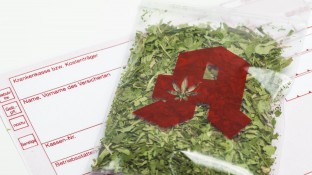Bayern ist Spitzenreiter bei Cannabis-Anträgen