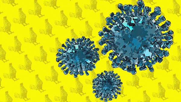 Roches neues Arzneimittel gegen Grippe