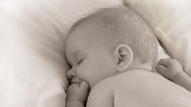 Beikost ab drei Monaten lässt Babys länger schlafen. (b / Foto: Nymph / stock.adobe.com)