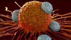 Der Ansatz der Mainzer Forscher soll Immunzellen zu den Krebszellen führen. (Foto: royaltystockphoto / Fotolia)