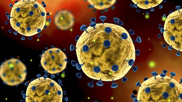 Das Spike-Protein des neuartigen Coronavirus SARS-CoV-2 scheint zur Adsoprtion auch an die ACE2-Rezeptoren zu binden. Viele Ansätze für neue Wirk- und Impfstoffe konzentrieren sich auf das Glykoprotein auf der Virusmembran. (s / Foto: imago images / StockTrek Images)