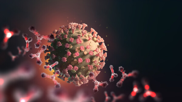 Wirken die Corona-Impfstoff-Kandidaten auch gegen ein mutiertes Virus?