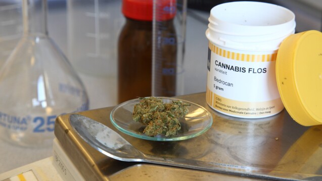 Medizinalcannabis auf BtM-Rezept stellt weiterhin keine Retax-Gefahr dar. (Foto: IMAGO / epd)