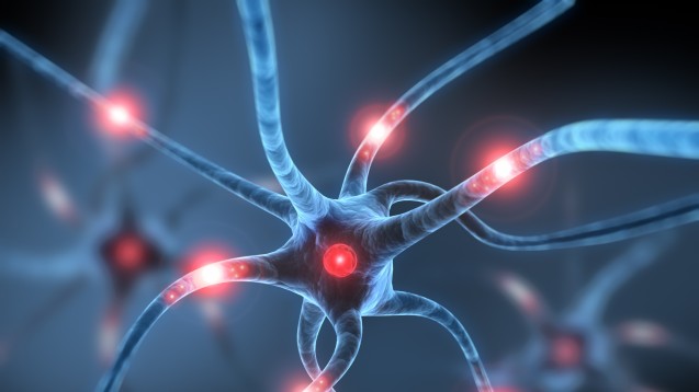 Was ist dafür verantwortlich, dass Neuronen untergehen? Die Suche nach einem wirksamen Mittel gegen Alzheimer treibt viele Pharmaunternehmen um. (Foto: psdesign1 / Fotolia)
