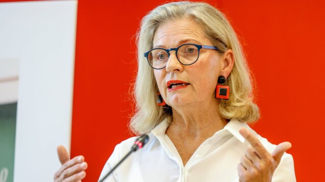 Ulrike Mursch-Edlmayr, Präsidentin der österreichischen Apothekerkammer, bietet an, dass Apotheken die Lücke bei Kinderantibiotika füllen können. (IMAGO / SEPA.Media)