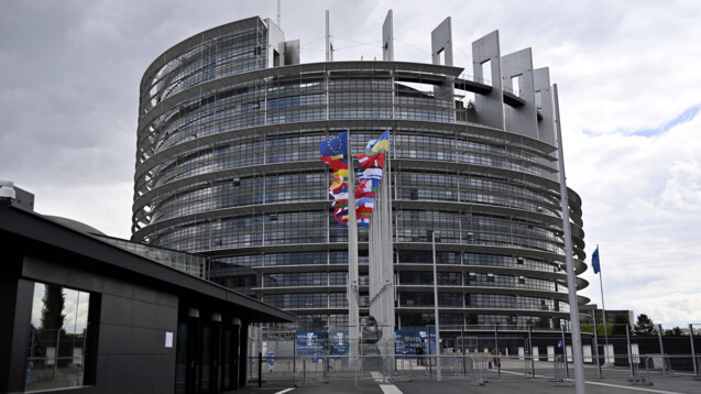 Das EU-Parlament in Straßburg wird im Juni neu gewählt. (Foto: IMAGO: Panama Pictures)