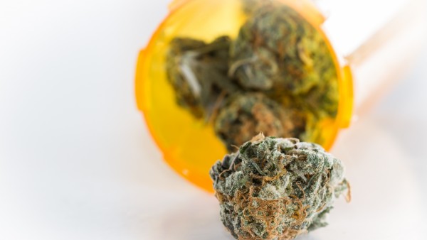 Cannabis-Begleitforschung nur mit Zustimmung des Patienten