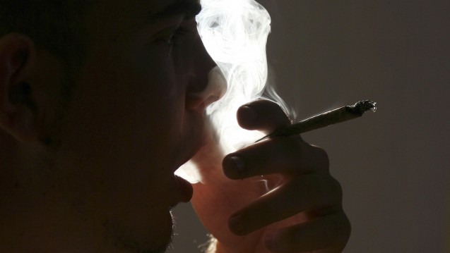 Cannabis-Konsum soll raus aus der Illegalität: Die Verbände fordern weitgehende Änderungen der Drogenpolitik. (Foto: alco81 / Fotolia)