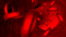 Blutspende: Der Ausschluss von Männern, die sexuelle Beziehungen zu Männern hatten, kann rechtens sein. (Foto: ralwel/Fotolia)
