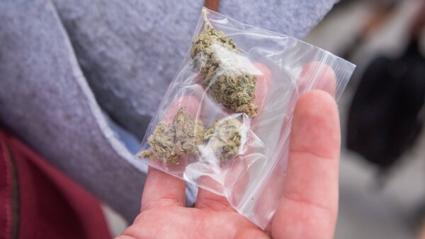 Schüler Union will Cannabis-Legalisierung ab 21 Jahren
