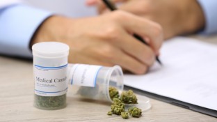 US-Behörde votiert gegen Liberalisierung von Cannabis