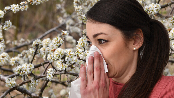 Allergiemittel-Verkauf läuft schleppend an