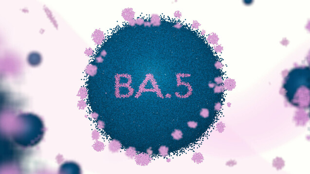 Gegen die aktuell dominierende Omikron-Variante BA.5 gilt derzeit keiner der in Europa zur Therapie zugelassenen monoklonalen Antikörper als ausreichend wirksam. (b/Foto: maurice norbert / AdobeStock)